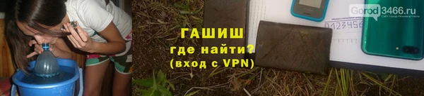 гидра Пересвет