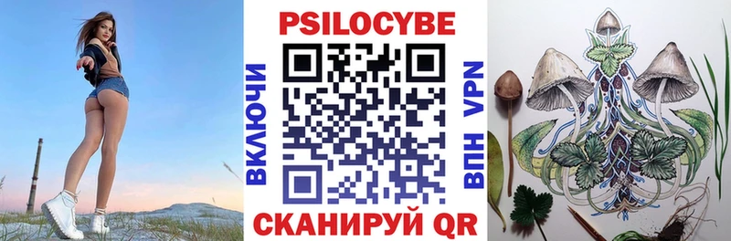 Псилоцибиновые грибы Psilocybe  закладки  даркнет клад  Новоржев 